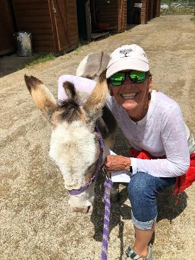 Horse Rescue Team